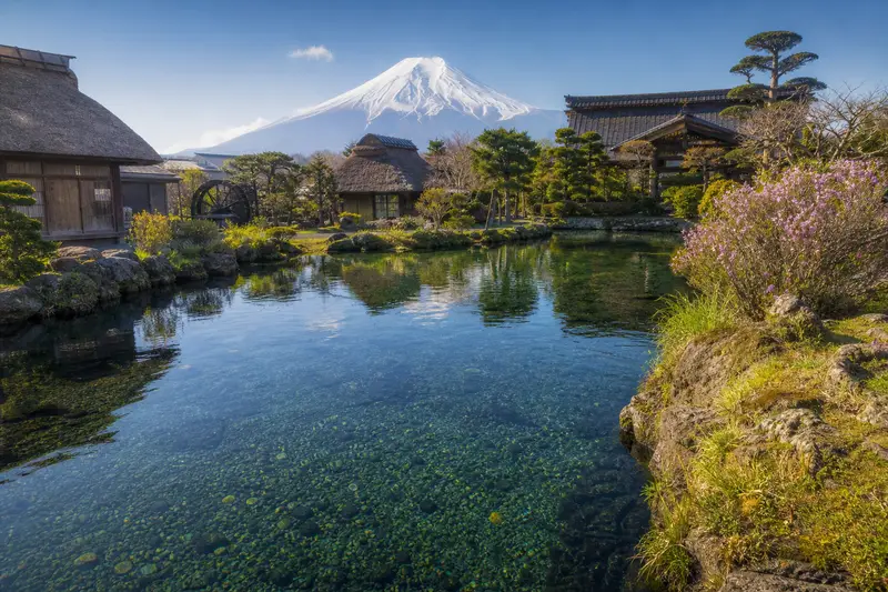 忍野八海湧泉池清澈水底與遠處富士山