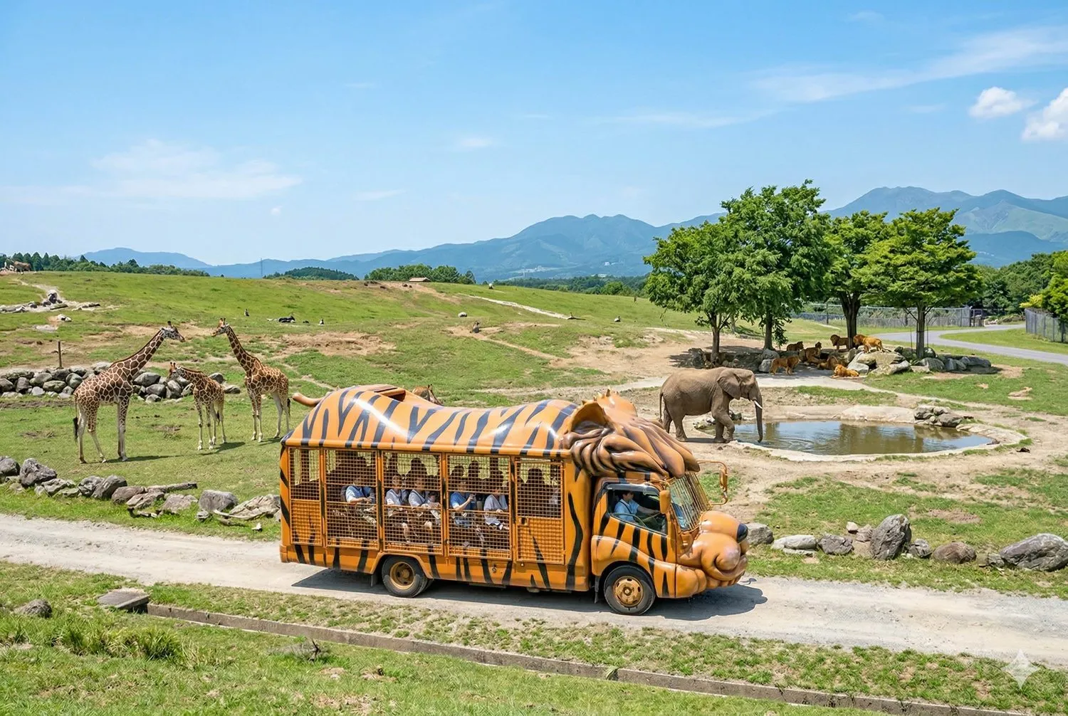 九州自然動物園近距離觀賞野生動物