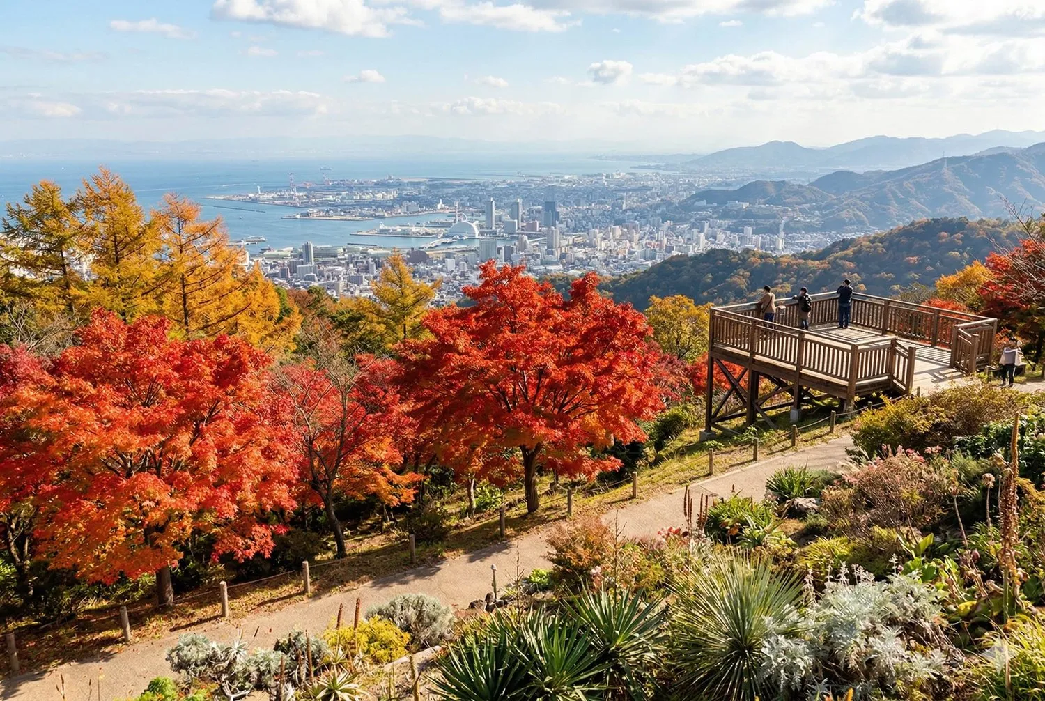 六甲高山植物園秋季紅葉