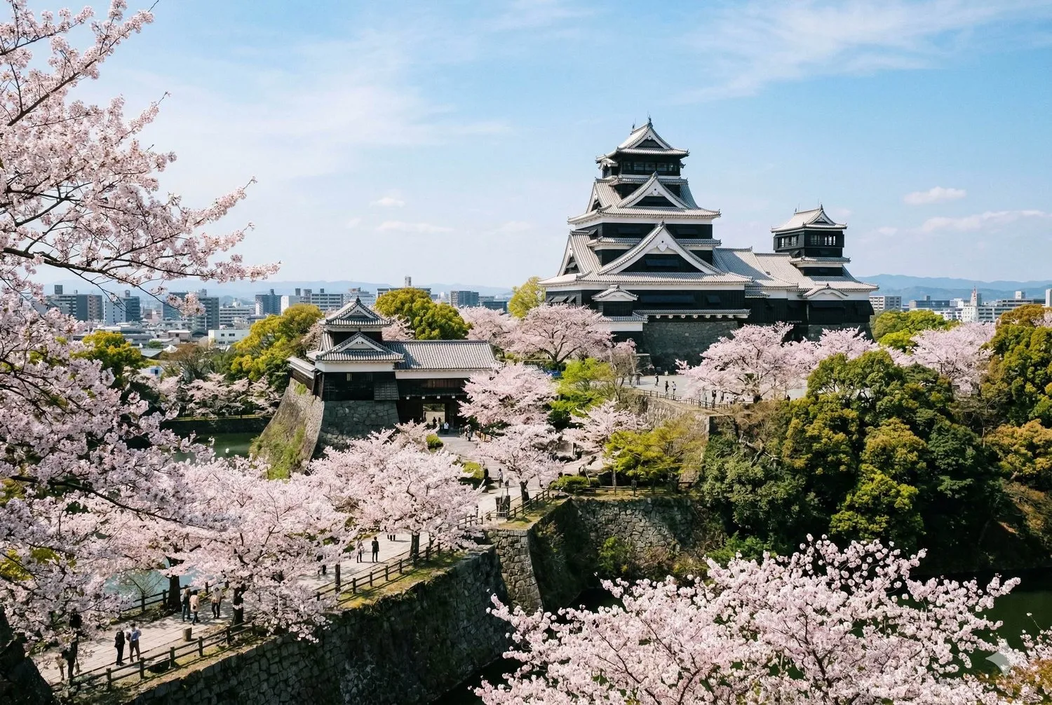 熊本城與櫻花