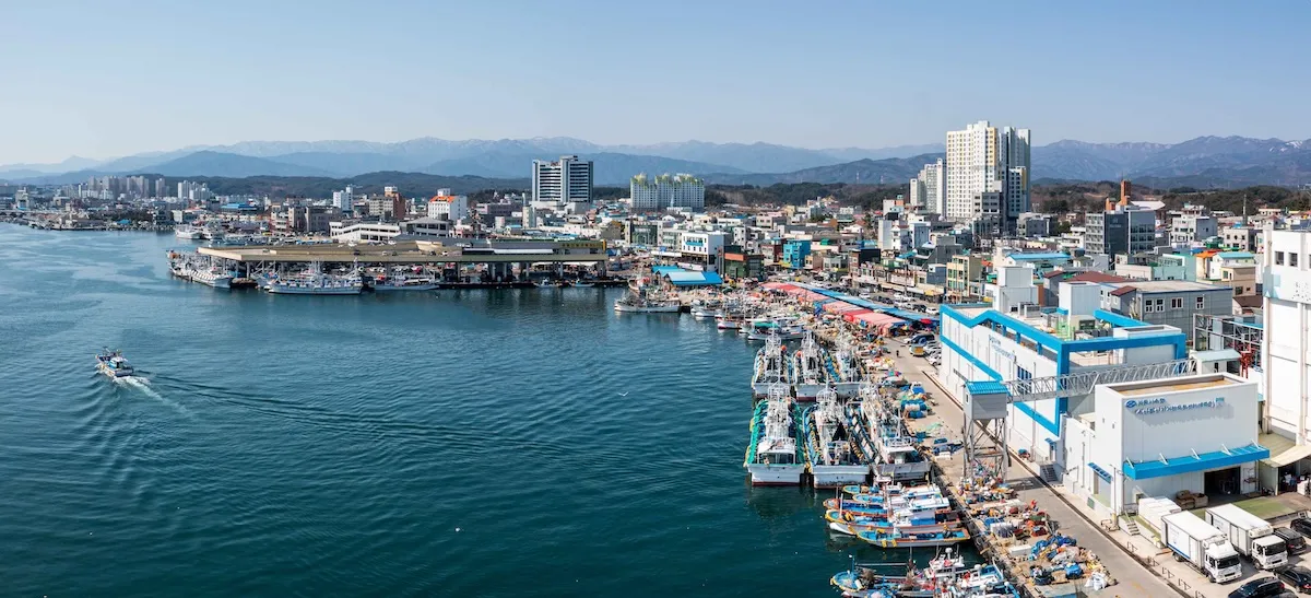 江陵注文津防波堤鬼怪取景地