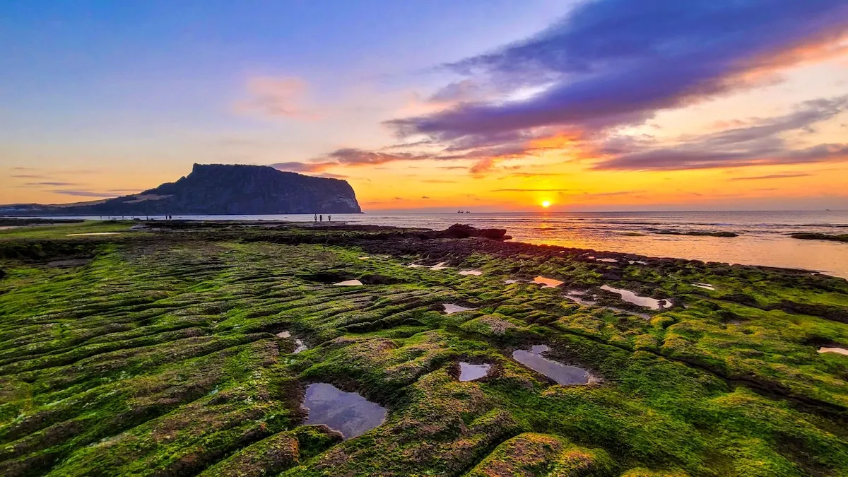 濟州五日環島包車